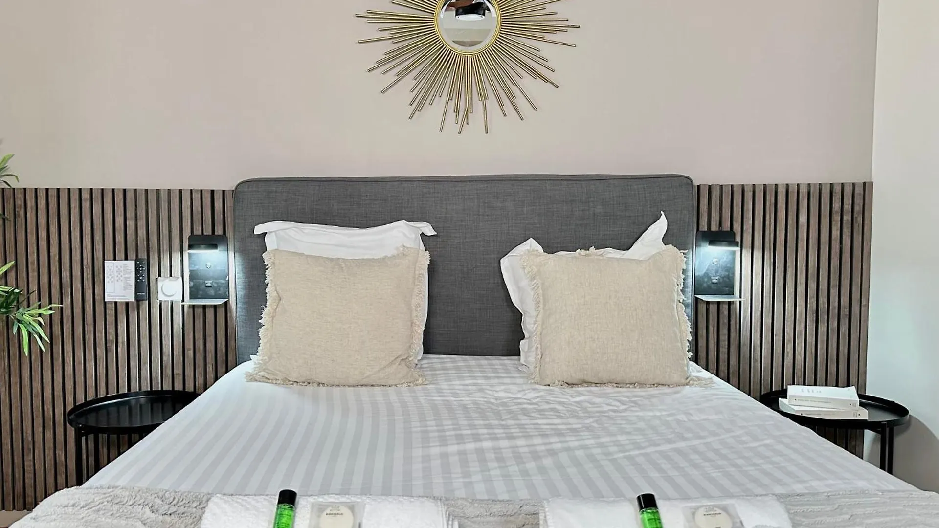 1581 Typical Luxurious Parisian Getaway
